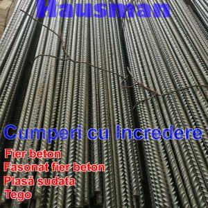 Fier beton bst500 de 10